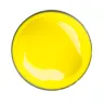 4004 Citron
