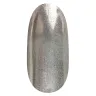 010 Silver