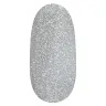 1051 Holographic