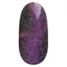DISCO 49