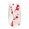 RED poppy
