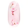 PINK cherry