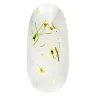 WHITE jasmin