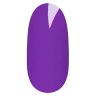 811Q