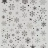 HC007 Silver